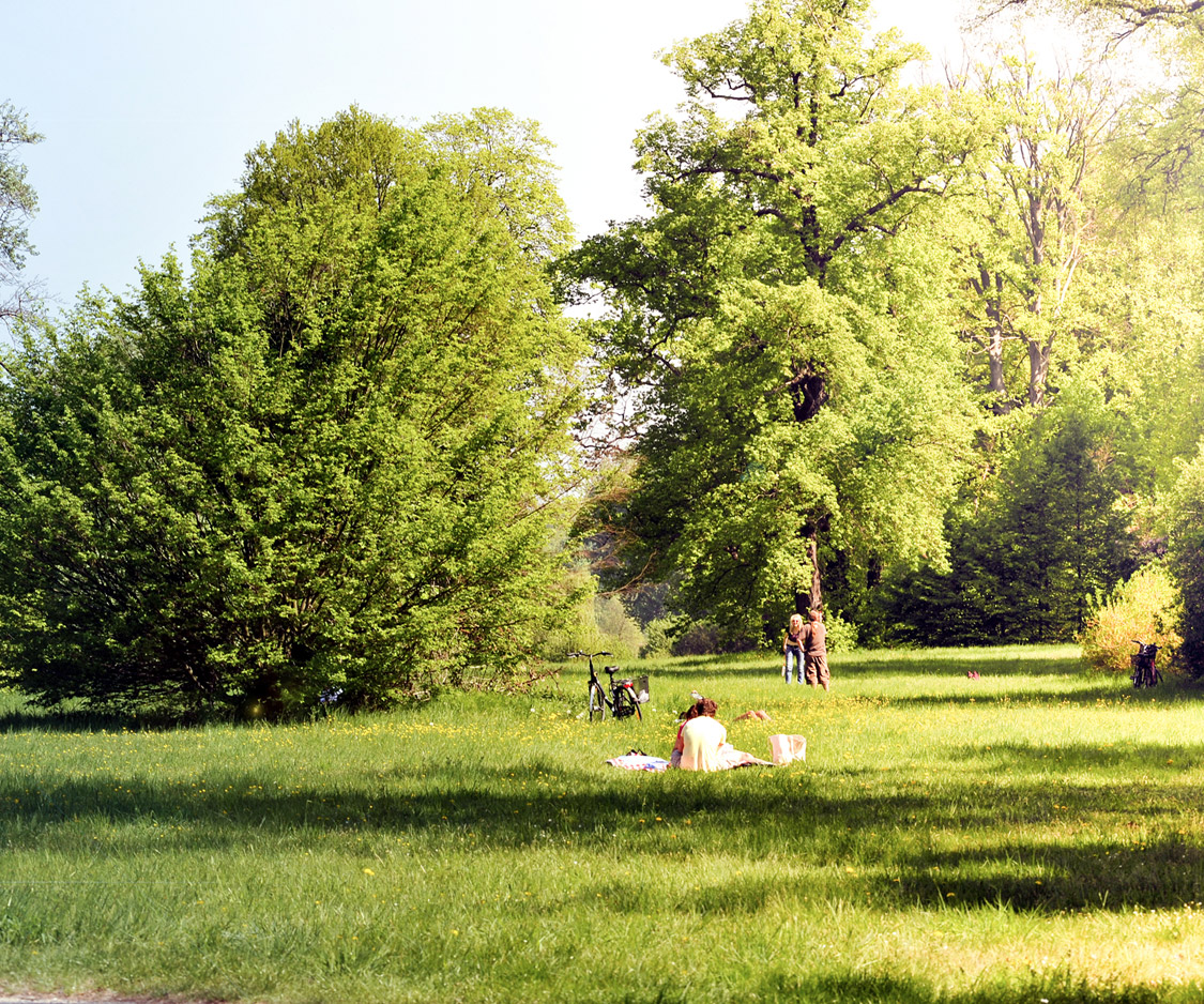 Entspannte Zeit im grünen Forst in Potsdam